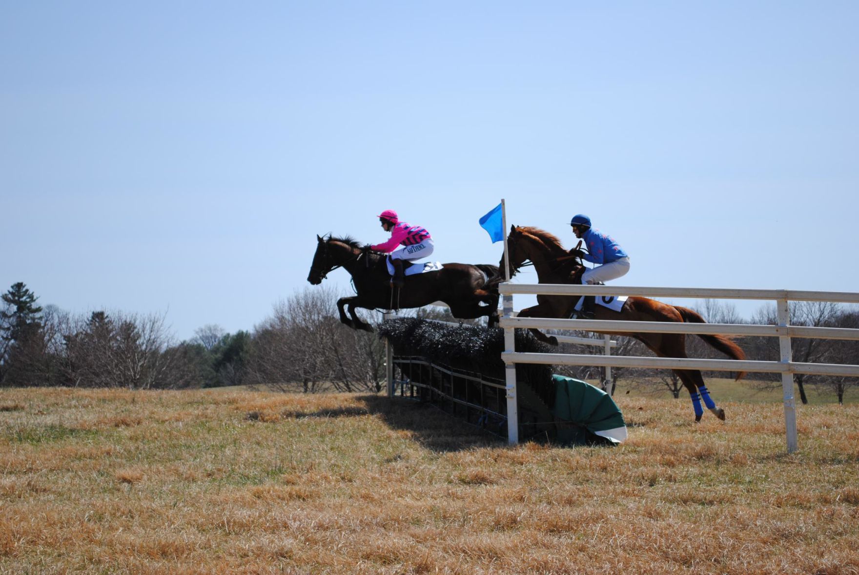 events-warrenton point to point.jpg
